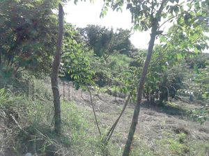 Terreno en Venta en Tronconal de Herrera Beltrán Tuxpan