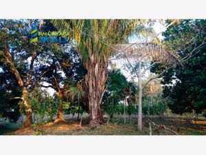 Terreno en Venta en Juana Moza Tuxpan