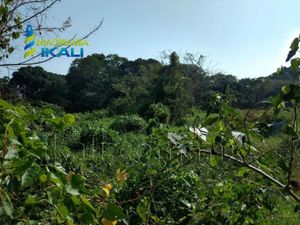 Terreno en Venta en Juana Moza Tuxpan