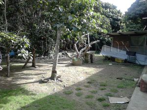 Casa en Venta en Juana Moza Tuxpan