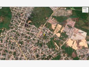 Terreno en Venta en Los Pinos Tuxpan