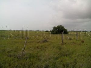 Terreno en Venta en petrolera Tuxpan