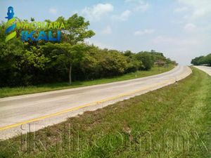 Terreno en Renta en 1ro de Mayo Tuxpan