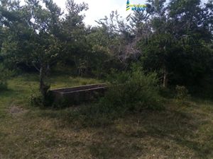 Terreno en Venta en Tamiahua Tamiahua