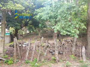 Terreno en Venta en Los Mangos Tuxpan