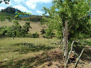 Terreno en Venta en Carrizal Papantla