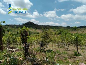 Terreno en Venta en Carrizal Papantla