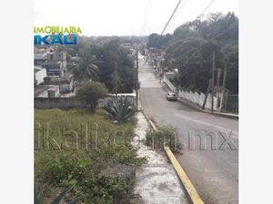 Terreno en Renta en Anahuac Tuxpan