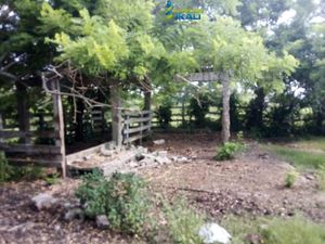 Terreno en Venta en Tamiahua Tamiahua