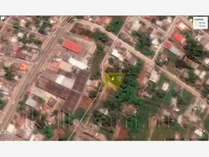 Terreno en Venta en Los Pinos Tuxpan