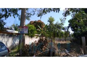 Terreno en Renta en Ampliación Adolfo Ruiz Cortines Tuxpan