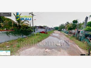 Terreno en Renta en La Victoria Tuxpan