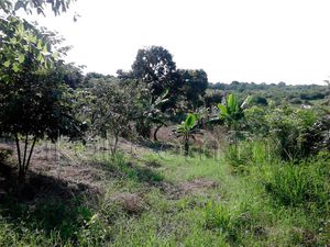 Terreno en Venta en Tronconal de Herrera Beltrán Tuxpan