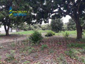 Terreno en Venta en Ricardo Flores Magon Tihuatlán