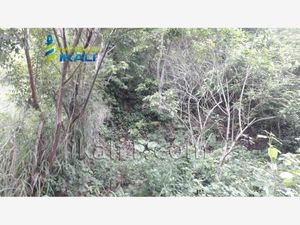 Terreno en Venta en Loma Alta Poza Rica de Hidalgo