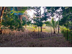 Terreno en Venta en Juana Moza Tuxpan