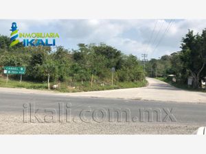 Terreno en Venta en Independencia Papantla