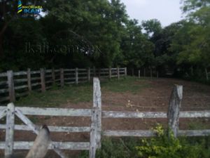 Terreno en Venta en Tamiahua Tamiahua