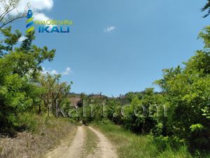 Terreno en Venta en Carrizal Papantla