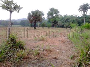 Terreno en Venta en El palmar Papantla