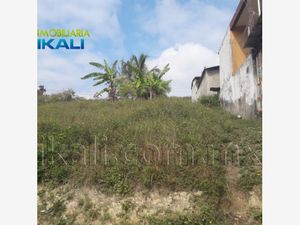 Terreno en Renta en Anahuac Tuxpan