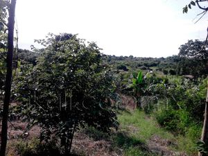 Terreno en Venta en Tronconal de Herrera Beltrán Tuxpan