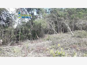 Terreno en Venta en Loma Alta Poza Rica de Hidalgo