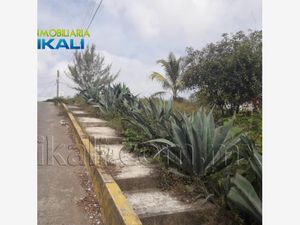 Terreno en Renta en Anahuac Tuxpan