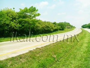 Terreno en Venta en Ceiba Rica Tuxpan