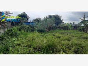 Terreno en Venta en La Calzada Tuxpan