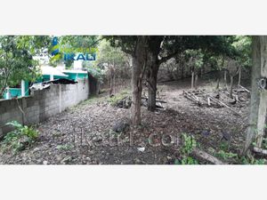 Terreno en Venta en Los Mangos Tuxpan