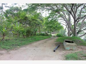 Terreno en Renta en La Victoria Tuxpan