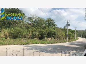 Terreno en Venta en Independencia Papantla