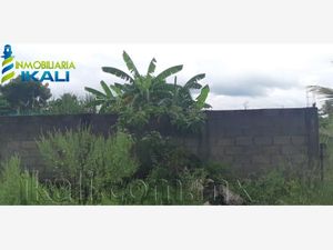 Terreno en Venta en La Calzada Tuxpan