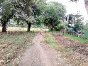 Terreno en Venta en El palmar Papantla