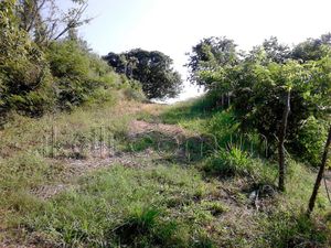 Terreno en Venta en Tronconal de Herrera Beltrán Tuxpan