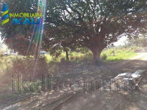 Terreno en Venta en Ceas Tuxpan