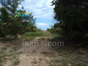 Terreno en Venta en Palo Blanco Tamiahua