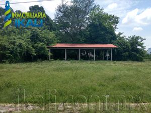 Terreno en Venta en Temapache Álamo Temapache