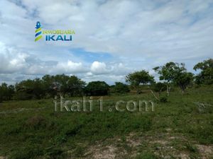 Terreno en Venta en Palo Blanco Tamiahua