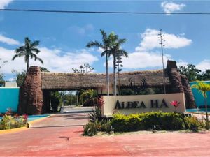 Terreno en Venta en Puerto Morelos Puerto Morelos