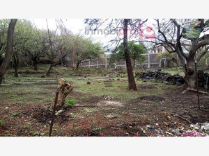 Terreno en Venta en Santiago Tepetlapa Tepoztlán