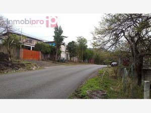 Terreno en Venta en Santiago Tepetlapa Tepoztlán