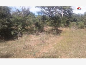 Terreno en Venta en Alzada Cuauhtémoc