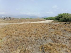 Terreno en Venta en Coahuayana Viejo Coahuayana