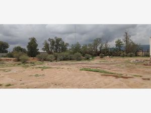 Terreno en Venta en Mieleras Torreón