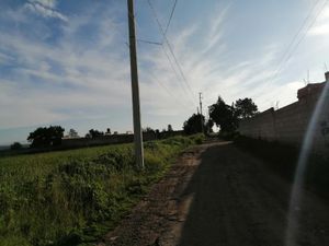 Terreno en Venta en Santa Maria Texcalac Apizaco