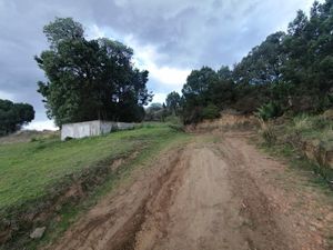 Terreno en Venta en Chautzingo Tetla de la Solidaridad