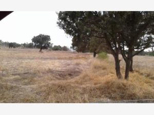 Terreno en Venta en San Andres Ahuashuatepec Tzompantepec