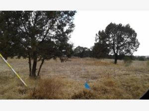 Terreno en Venta en San Andres Ahuashuatepec Tzompantepec